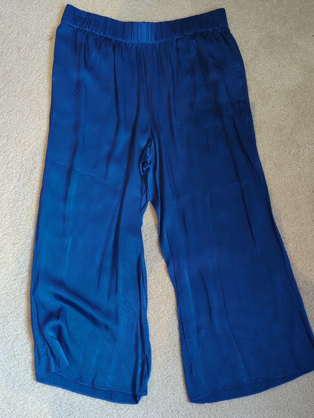 J. Crew Blue Wide-Leg Pants